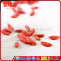 Goji-Fruttobacchie di Goji-Taube compare goji tibetano